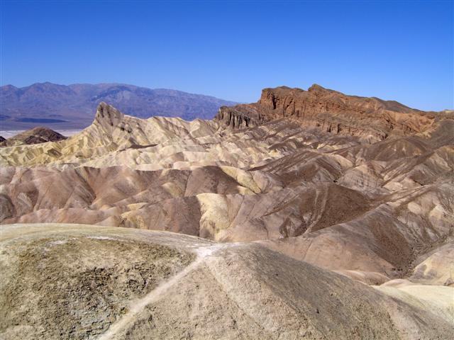 CIMG0103 (Small).JPG